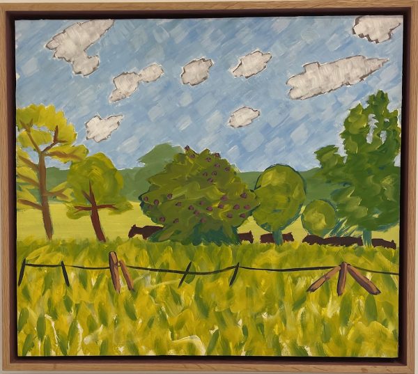 Cows under shade, 2024